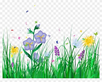 Flower Clipart With No Background - Flower Clipart With No Background