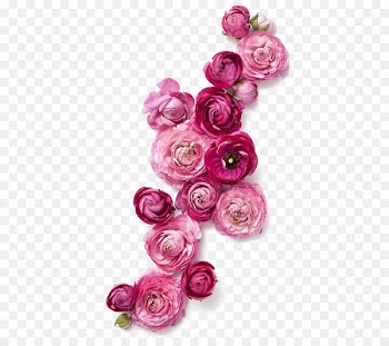 Flower Clothing Fashion Pink - Red Roses 