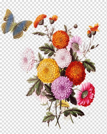 Flower Collage illustration , European aesthetic vintage floral pattern, assorted-color flowers and butterfly transparent background PNG clipart