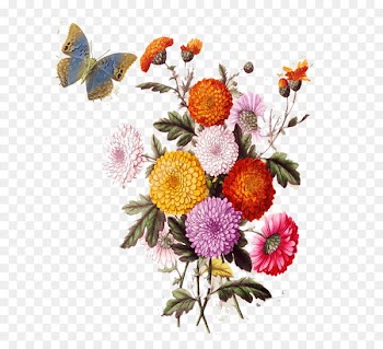 Flower Collage Stock illustration Photography - European aesthetic vintage floral pattern 