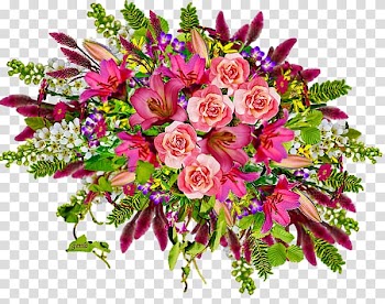 Flower Color Diary Birthday LiveInternet, flower transparent background PNG clipart
