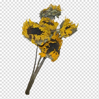 Flower Copyright , flower transparent background PNG clipart