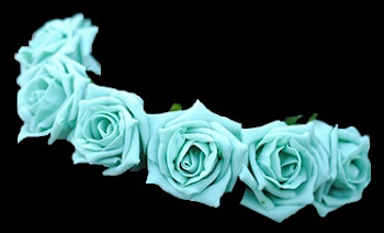 flower crown png shared by kie on We Heart It