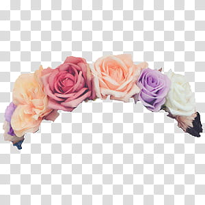 Flower Crowns, assorted-color rose illustration transparent background PNG clipart