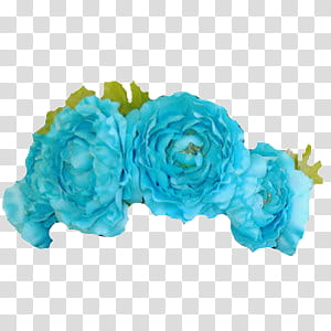 Flower Crowns, green flowers illustration transparent background PNG clipart