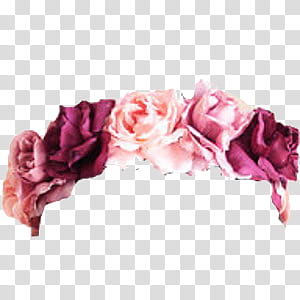 Flower Crowns, maroon and pink roses transparent background PNG clipart
