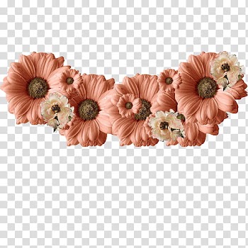 Flower Crowns RAR, pink flowers transparent background PNG clipart