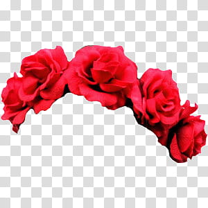 Flower Crowns, red flower decor transparent background PNG clipart