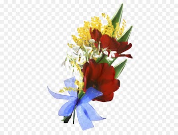Flower, Cut Flowers, Floral Design, Flowering Plant PNG