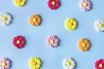 Flower Decor Lot