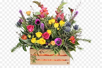 Flower Delivery, Flower, Floristry, Flowering Plant PNG