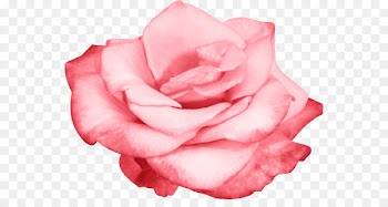 Flower - design 