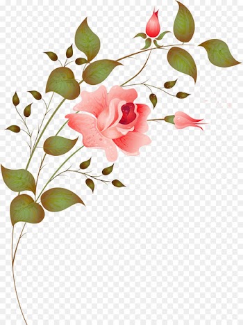 Flower Design Rose Image Illustration - flower 