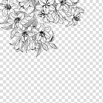 Flower Desktop Drawing White , succulent border transparent background PNG clipart