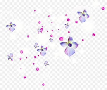 Flower Desktop Wallpaper - holi png 