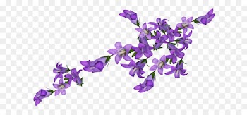 Flower Desktop Wallpaper Portable Network Graphics Petal Image - flower 