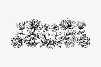 Flower divider collage element, drawing | Free Vector Illustration - rawpixel