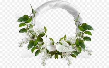 Flower Download Clip art - Flower boxes,lace 
