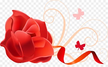 Flower Download Clip art - Red Rose Flower 