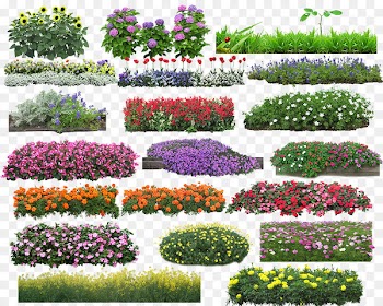 Flower Download - Flowers haystack image 