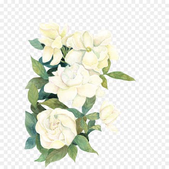 Flower Download If(we) - flower 