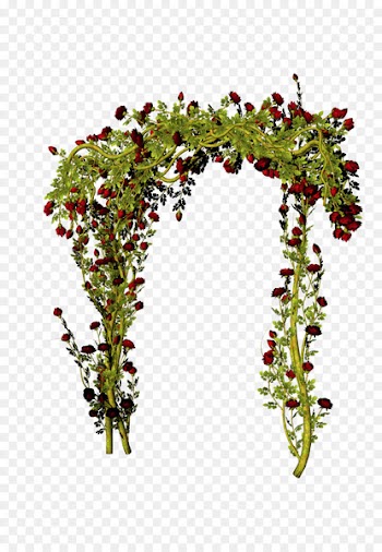 Flower Download - Rose Gate 