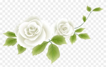 Flower Drawing Clip Art - Garden Roses