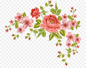 Flower Drawing - flower 