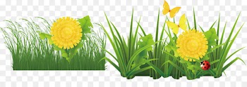 Flower Drawing - Flower flat 