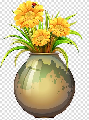 Flower Drawing Illustration, Chrysanthemum flowers transparent background PNG clipart