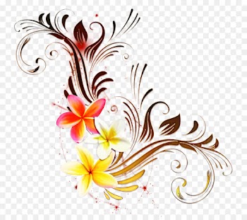 Flower, Drawing, Picture Frames, Hibiscus, Graphic Design PNG