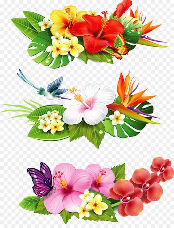 Flower Drawing Royalty-free Clip art - flower tropical 