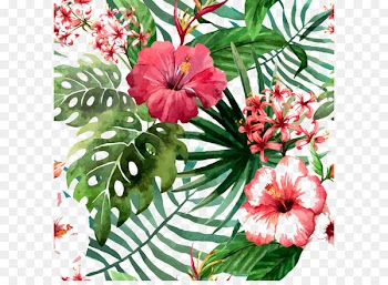 Flower Drawing Tropics Stock photography - Hand Painted,flower,poster 