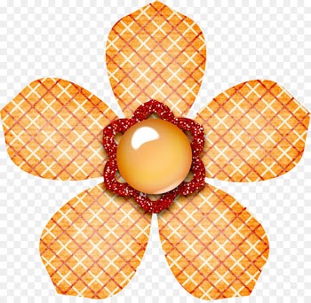 Flower, Drawing, Watercolor Painting, Orange, Food PNG