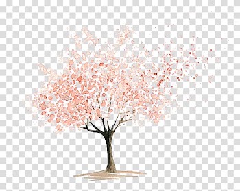 Flower Drawings Watercolor painting Cherry blossom Art, cherry blossom transparent background PNG clipart