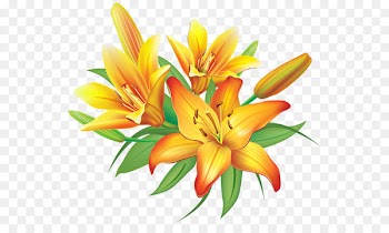 Flower Easter lily Clip art - Flower Yellow 