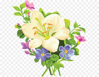 Flower Easter lily Madonna Lily Clip art - flower 