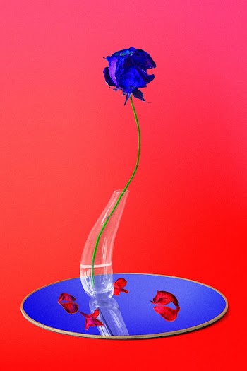 Flower element, blue rose in vase abstract… | Free stock illustration | High Resolution graphic