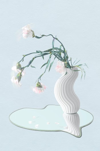 Flower element, pastel white carnation in… | Free stock illustration | High Resolution graphic