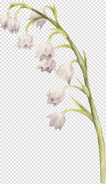 Flower Euclidean Bell, Bouquet of flowers bells transparent background PNG clipart