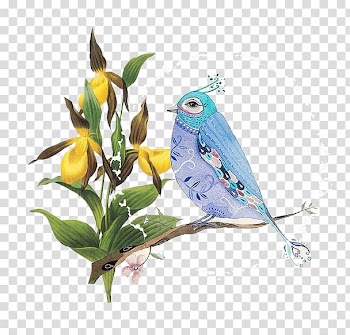 Flower Euclidean , Flowers and birds transparent background PNG clipart