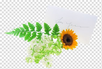 Flower Euclidean Gift, Fresh envelope transparent background PNG clipart