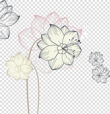 Flower Euclidean Nelumbo nucifera Illustration, Hand-drawn line lotus transparent background PNG clipart