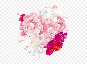 Flower Euclidean vector Clip art - Fantasy HD peony free downloads 