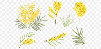Flower Euclidean vector Clip art - Small yellow flower vector 