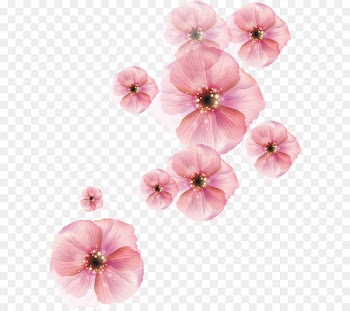 Flower Euclidean vector Computer file - Flat spreading 