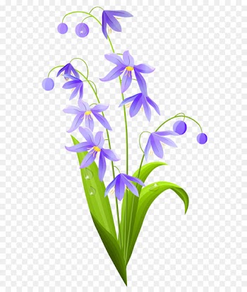 Flower Euclidean vector Lilium Clip art - Pink Spring Flower PNG Clipart 