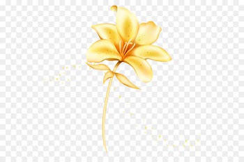 Flower Euclidean vector Lilium - Golden Flowers 