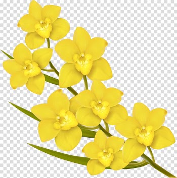Flower Euclidean Yellow, Six yellow flowers transparent background PNG clipart