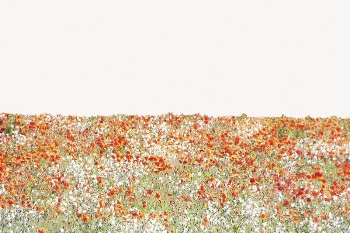 Flower field collage element, beautiful | Free PSD - rawpixel